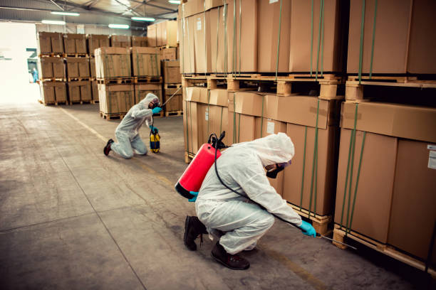 Best Best Pest Control Companies  in Woodland Hills, UT