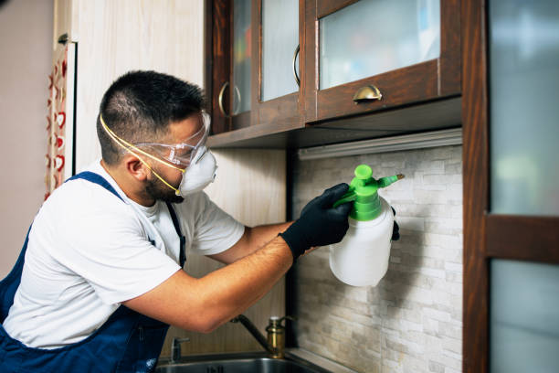 Best Wildlife Control Services  in Woodland Hills, UT