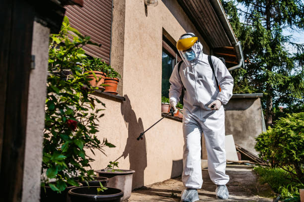 Pest Prevention Services in Woodland Hills, UT
