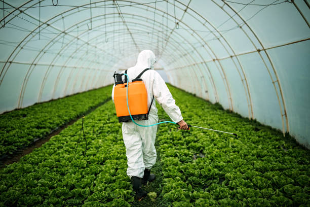 Best Local Pest Control Services  in Woodland Hills, UT