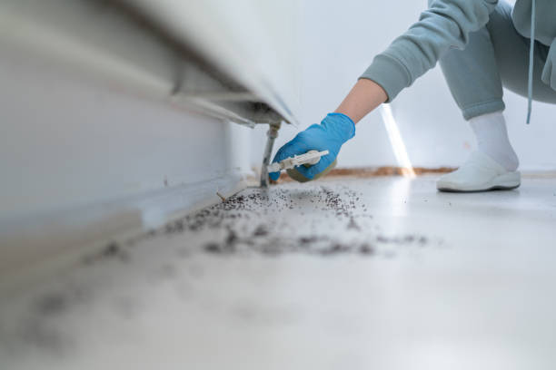 Best Cockroach Control Services  in Woodland Hills, UT